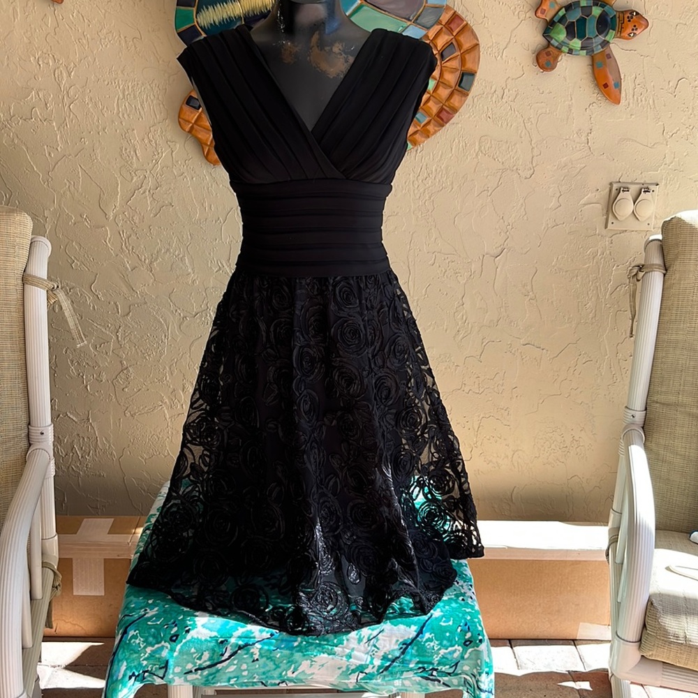 Adrianna Papell - Black Rose Embellished Knee Length Dress. Pleated Bodice- Sz 4